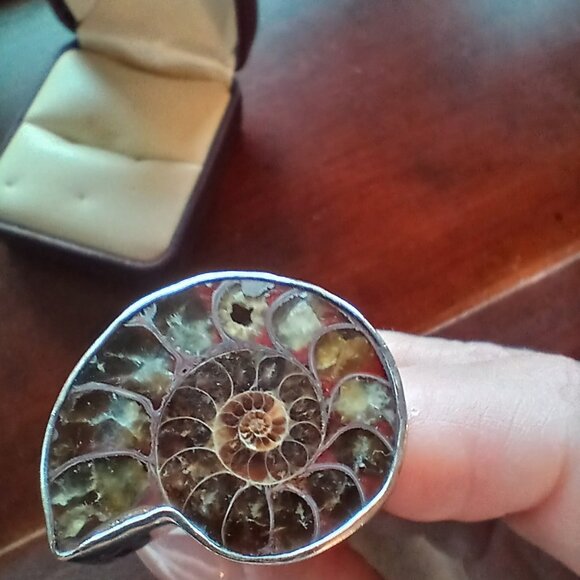 Sterling Silver 925 - Ammonite Fossil Ring - Picture 6 of 8